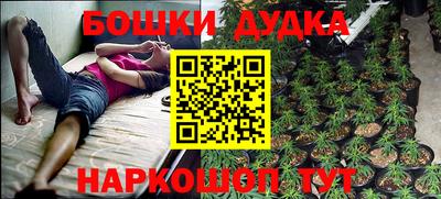 мдпв Пугачёв