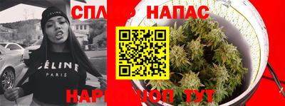 мдпв Пугачёв